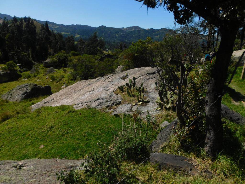 Farallones